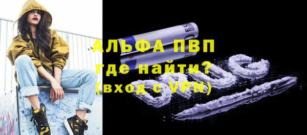 шишки Беломорск