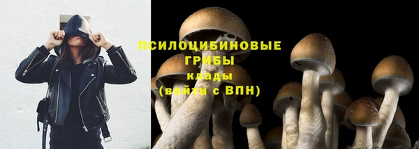 бошки Белокуриха