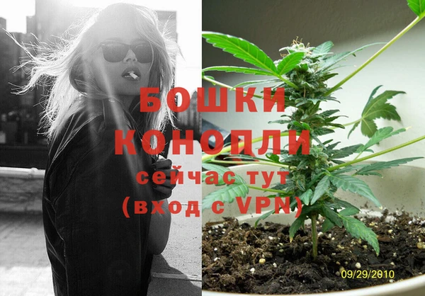 шишки Беломорск