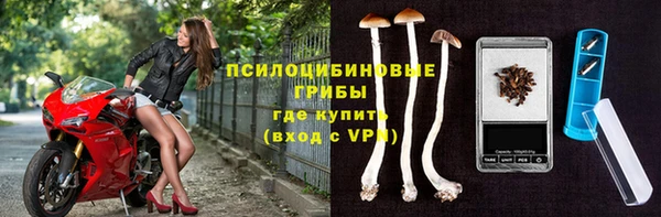 бошки Белокуриха