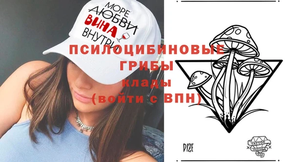 стафф Баксан