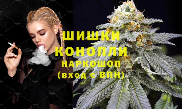 шишки Беломорск